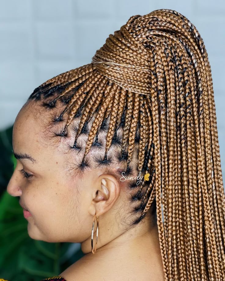 Knotless Braids